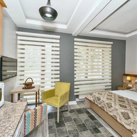 Lumineuse Apartament *